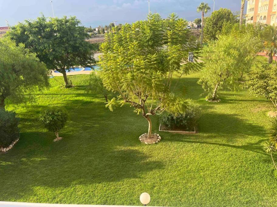 Апартаменти Casa Di Mateo With Garden View And Swimming Pool Торрев'єха Екстер'єр фото
