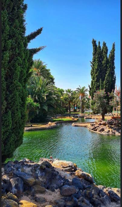 Апартаменти Casa Di Mateo With Garden View And Swimming Pool Торрев'єха Екстер'єр фото